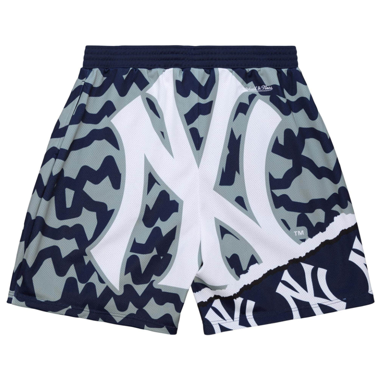 Mitchell & Ness x MLB Paint Brush Sublimated Mesh Shorts - White
